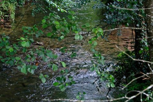 Hotel Camping Du Plan Incline Henridorff Zewnętrze zdjęcie